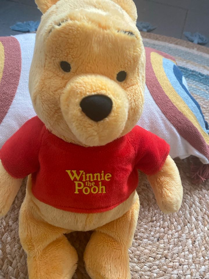 Winnie Pooh Bär  40cm Top Zustand neuwertig und Lichterkette in Eschweiler