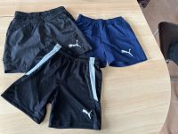 Puma Shorts Größe 140 Thüringen - Münchenbernsdorf Vorschau