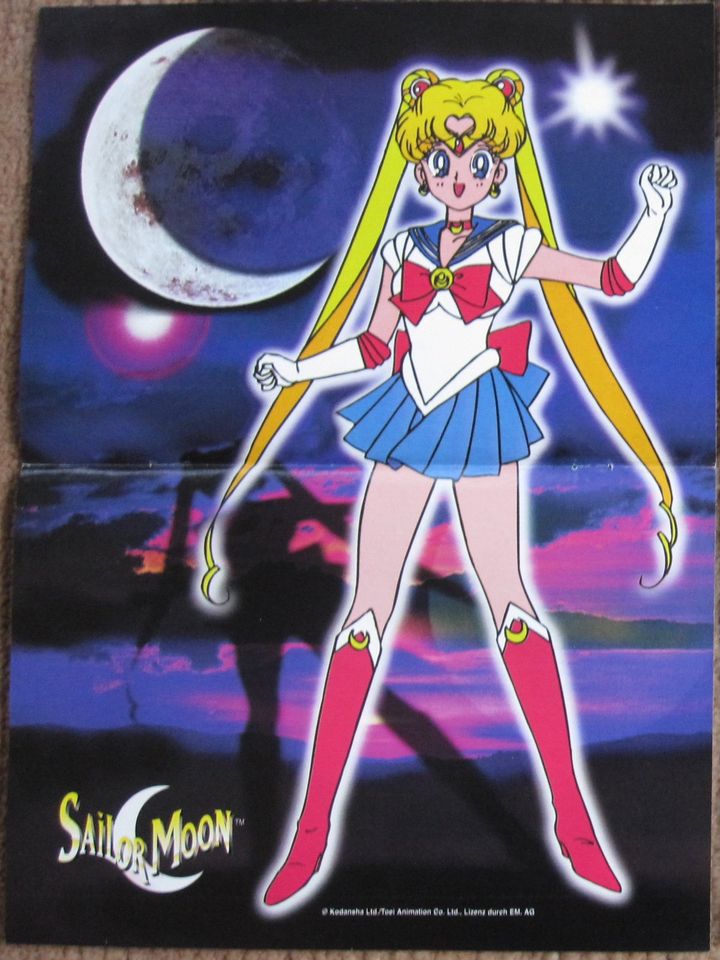 Sailor Moon Poster-Sammlung in Rehlingen-Siersburg