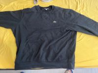 Lacoste Pullover XXL Parchim - Landkreis - Parchim Vorschau