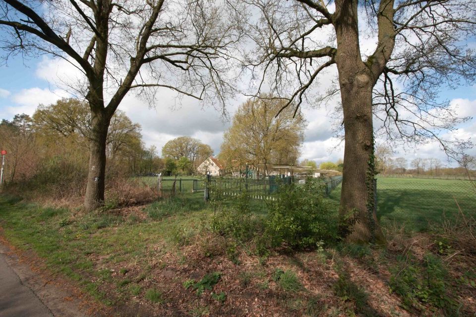 Ein Landhaus Anwesen mit Stallungen und sechs Mietwohnungen am Naturschutzgebiet in Hopsten