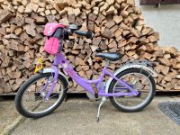 Kinder fahrrad 18 zoll Brandenburg - Bad Freienwalde Vorschau