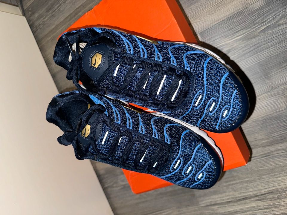 Air Max Plus FFF in Berlin