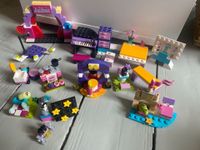 Lego Friends Konvolut, Mode, Musik, Bäckerei, Tiere Sachsen - Frankenberg (Sa.) Vorschau