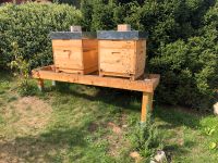 Bienenbeute 12er Dadant Sachsen - Thalheim/Erzgebirge Vorschau