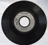 B Single oH David Cassidy Rock me Baby Two time Loser Bell Record Rheinland-Pfalz - Breitscheid Vorschau