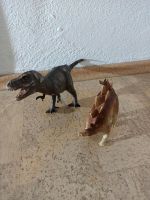 Schleich - Dinosaurier Tyrannosaurus Rex Stegosaurus Baden-Württemberg - Schwendi Vorschau