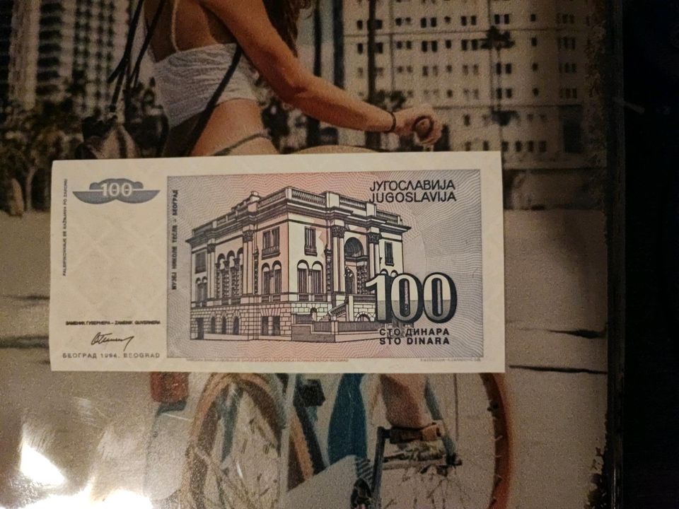 100 Dinar, Jugoslawien, 1994 in Steinfeld