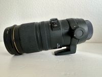 Sigma 70-200mm f/2.8 APO EX DG OS HSM für Nikon Objektiv Frankfurt am Main - Nordend Vorschau