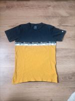 Champion T-Shirt 162 12- 14 Jahre Sachsen - Nossen Vorschau