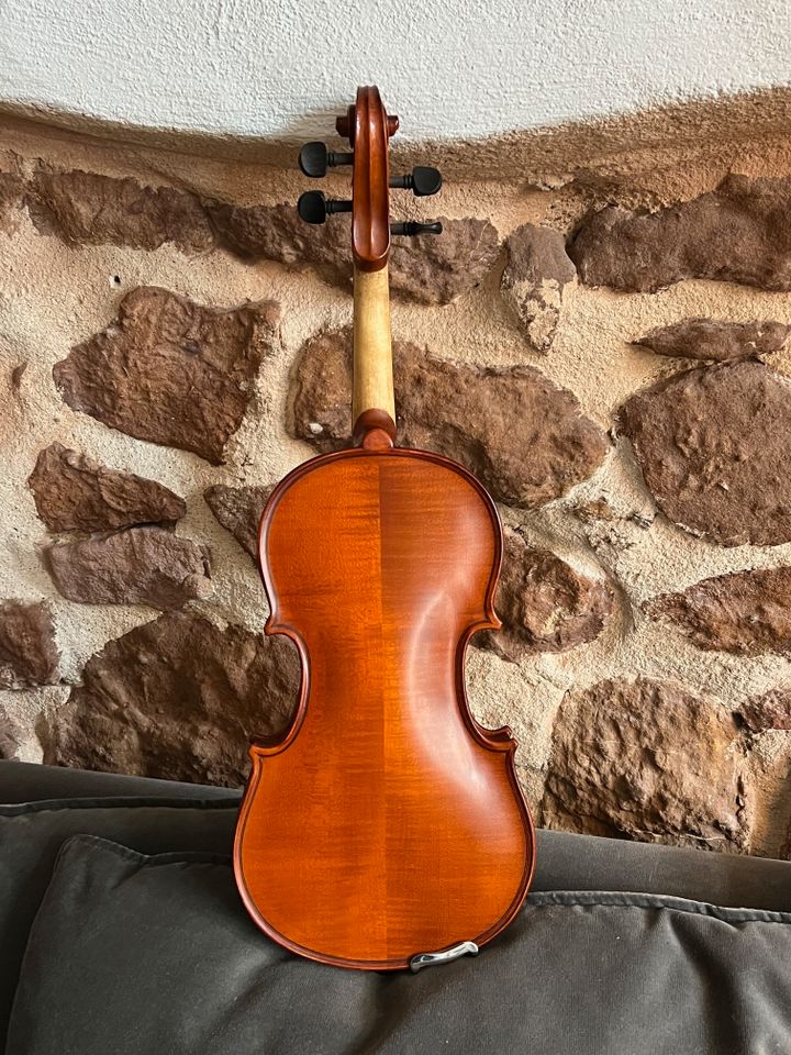1/2 Geige Violine Europa Genial Violins Kindergeige Set in Freiburg im Breisgau