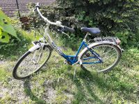 Fahrrad Damenrad 28 Nordrhein-Westfalen - Ostbevern Vorschau