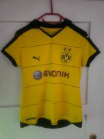 Verkaufe ein Damen BvB 09 Trikot Sachsen - Dommitzsch Vorschau