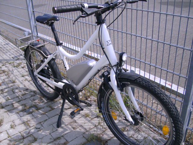 Mehrere Gobax Lastenrad Goswiss Pedelec regelmässig gewartet in Frankenthal (Pfalz)