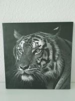 Tiger Leinwand Bild Altona - Hamburg Lurup Vorschau