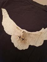 YZY GAP T-Shirt Dove, Kanye West, XL, Black Nordwestmecklenburg - Landkreis - Grevesmuehlen Vorschau