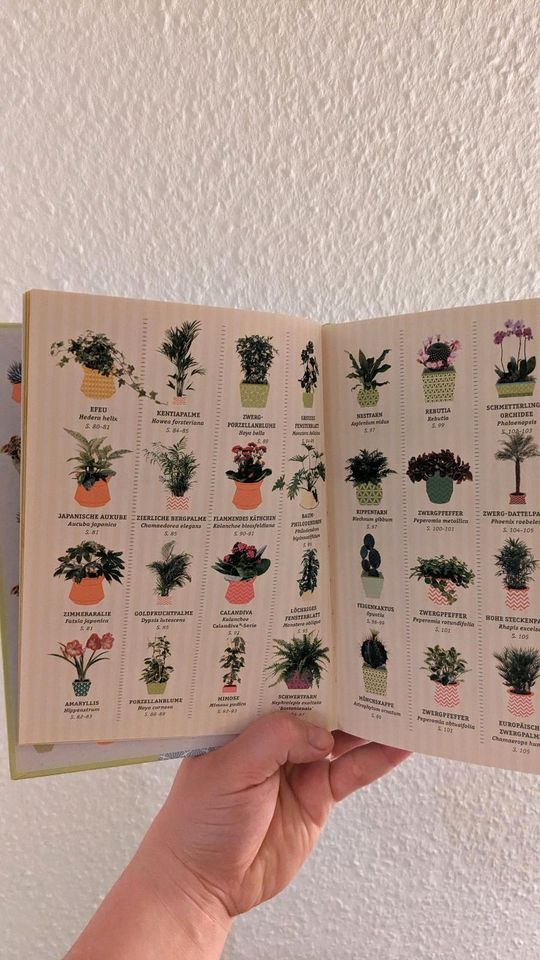 Buch: so überleben Zimmerpflanzen garantiert in Magdeburg