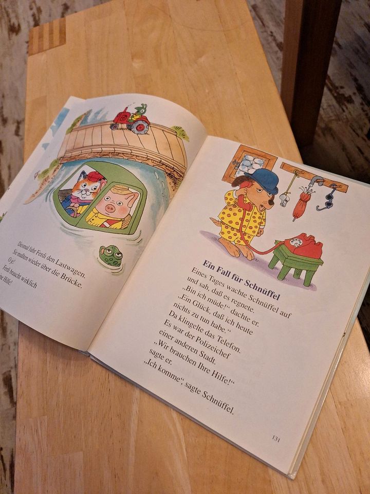 Kinderbuch Mein großes Richard-Scarry Buch in Burgwald