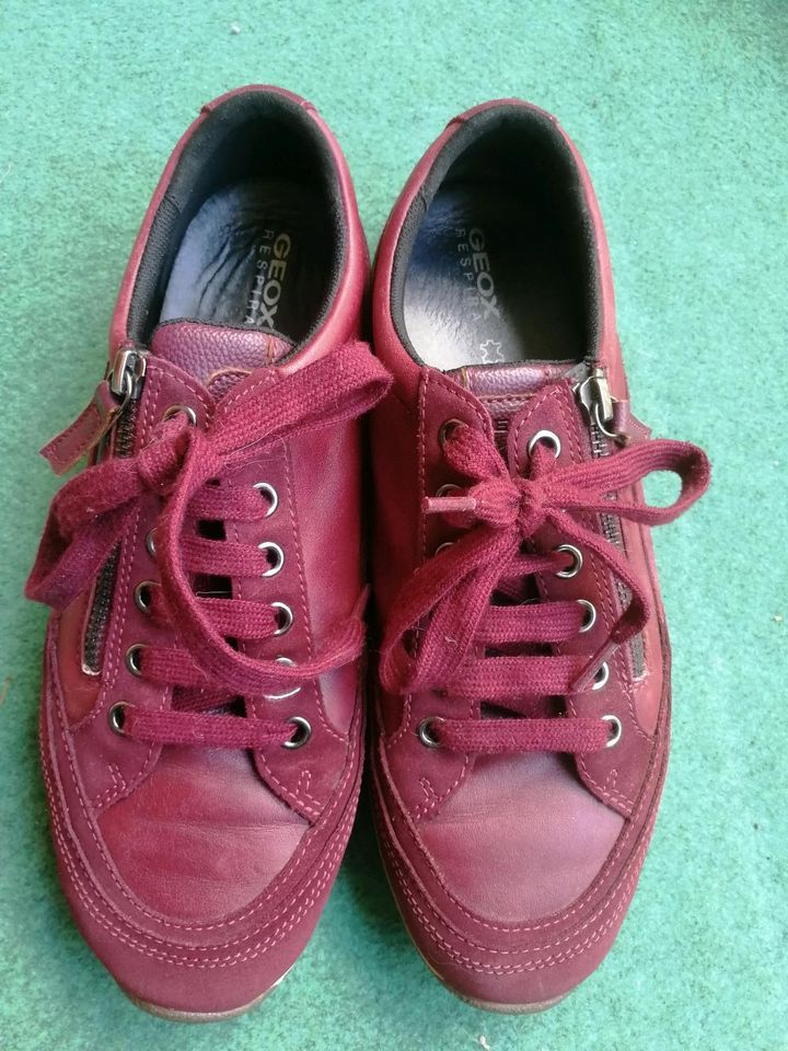 NEU! Geox Damen Sneaker Gr.38 Leder in Selb