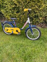 Kettler Kinderfahrrad Fahrrad 16“ Zoll Nordrhein-Westfalen - Möhnesee Vorschau