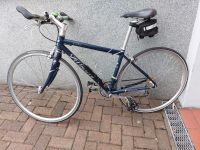 Specialized Dolce 2705 Rennrad Retro Rad, Fahrrad, Damen, Cityrad Rheinland-Pfalz - Ludwigshafen Vorschau