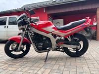 Suzuki GS500E schönes Einsteigermotorrad Baujahr 1991 Brandenburg - Groß Schacksdorf- Simmersdorf Vorschau