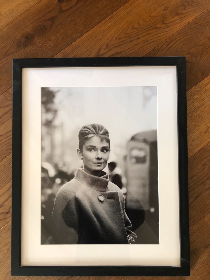 Sonic editions Audrey Hepburn Bild limited editions in Königswinter