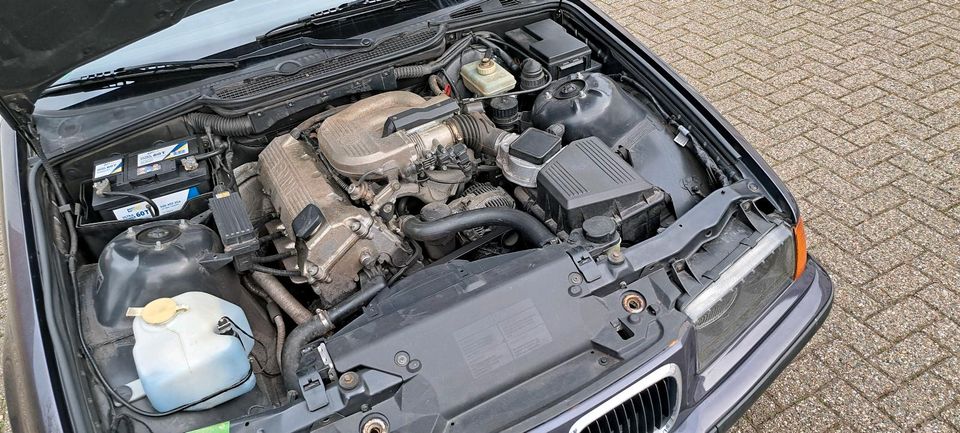 BMW 316i compakt 'Mai-Special' in Langenfeld