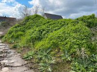 Mutterboden Leipzig - Meusdorf Vorschau