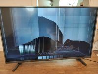 Zu verschenken: Defekter Flachbild Fernseher von Grundig 45" Baden-Württemberg - Kirchheim unter Teck Vorschau