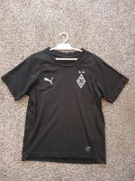 ⭐️⭐️⭐️T-shirt von Borussia Mönchengladbach⭐️⭐️⭐️ Nordrhein-Westfalen - Bedburg Vorschau