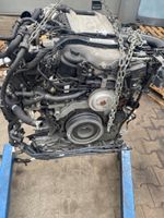 Motor VW TOUAREG 3.0 TDI DEN DPY DENA 286PS komplett Sachsen - Torgau Vorschau