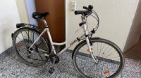 Fahrrad 28 Zoll von Schauff Rheinland-Pfalz - Sinzig Vorschau