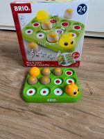 Brio Musikspiel Babyspielzeug Musical Caterpillar Niedersachsen - Himmelpforten Vorschau