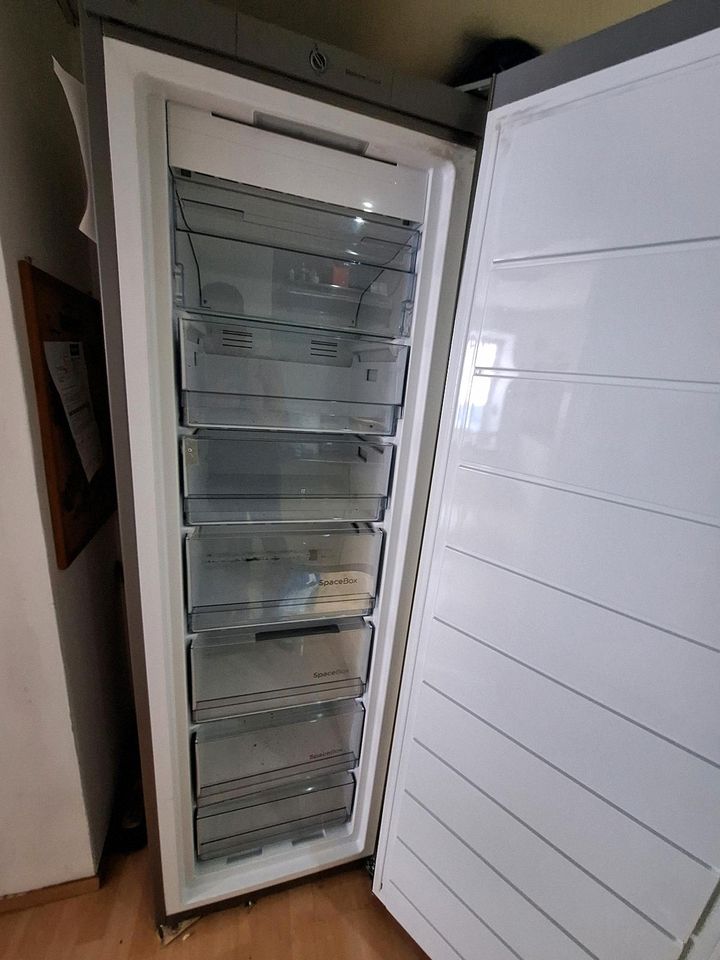 Gorenje FN 6192 CX Gefrierschrank in Hillesheim (Eifel)