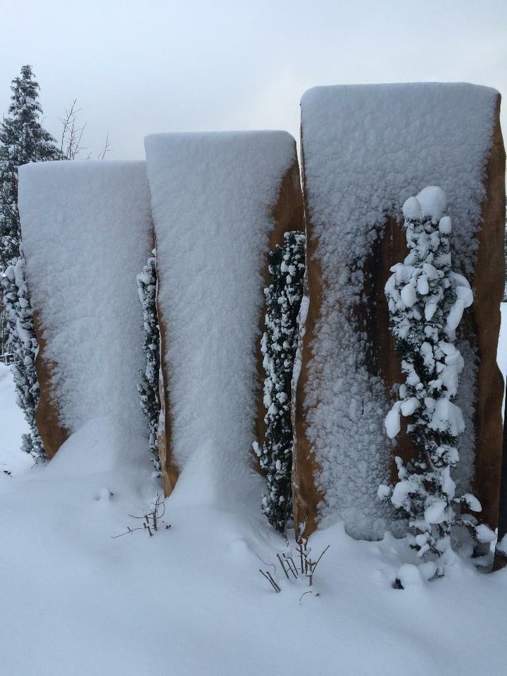 massiver Sichtschutz / Holzsichtschutz / Sichtschutzzaun in Völmlesmühle