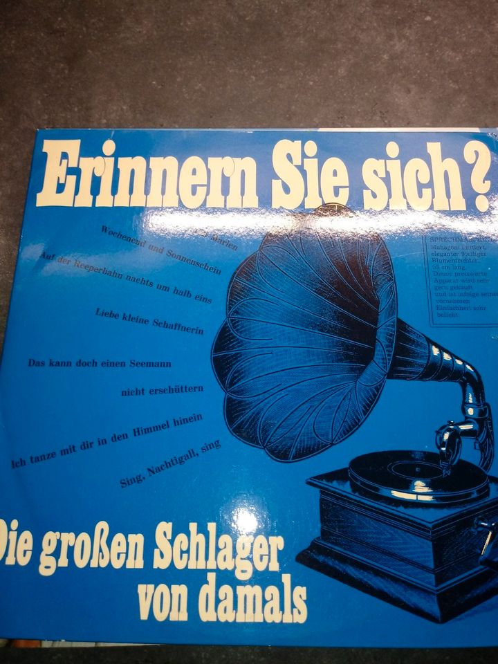 Erinnern Sie sich? Die großen Schlager von damals, 2 LP Vinyl in Bad Iburg