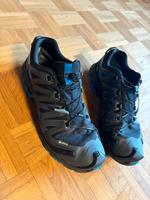 Salomon XA Pro 3D V8 Schuhe Herren 13.5 Hessen - Philippsthal (Werra) Vorschau