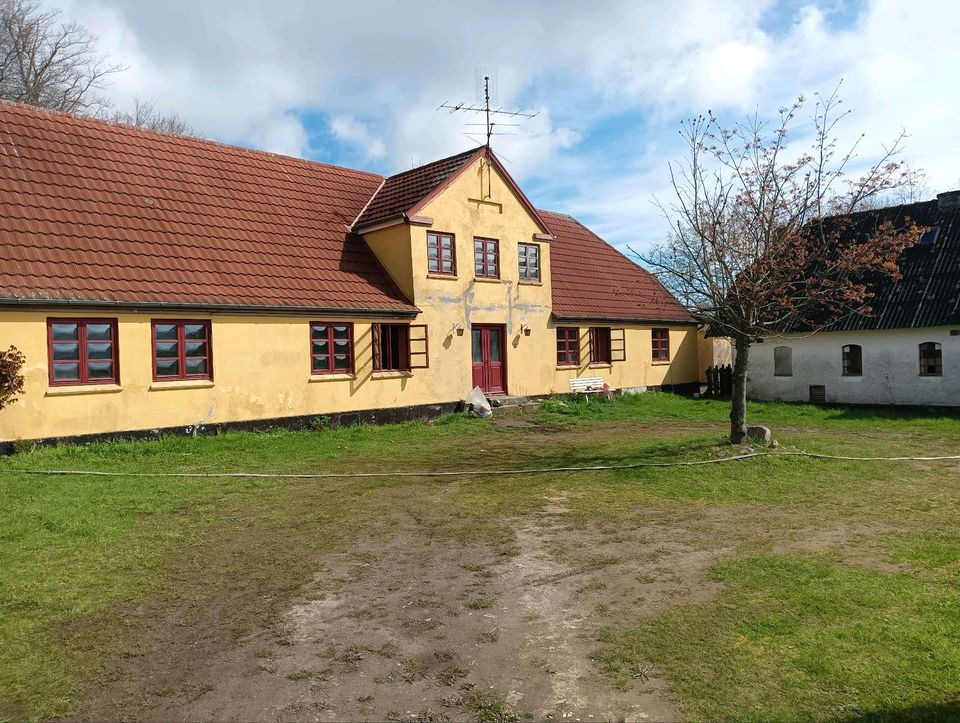 Hof Daenemark Langeland in Flensburg