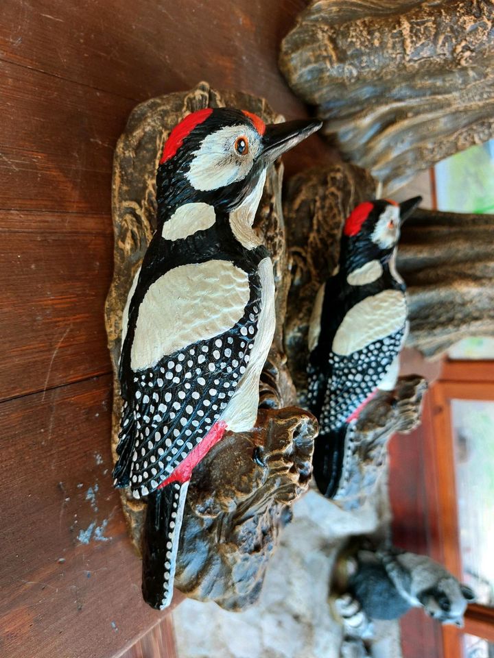 Eisvogel Vogel Buntspecht Tierfigur Steinguss Gartendeko Geschenk in Halsbach