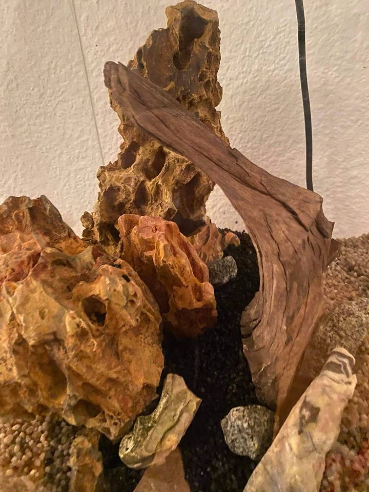 Aquarium mit 3d Zubehör dragon stein in Steinheim