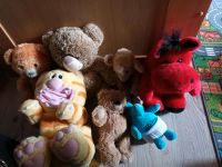 Verschiede Teddybären Rheinland-Pfalz - Kastellaun Vorschau