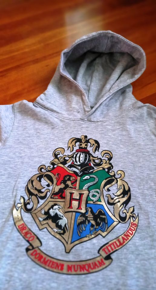 H&M Kapuzenpulli Harry Potter Hoodie Gr 170 nur 5€ in Güglingen