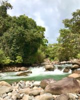 Grundstück in COSTA RICA mit Fluss 2,7 ha Rheinland-Pfalz - Neu-Bamberg Vorschau