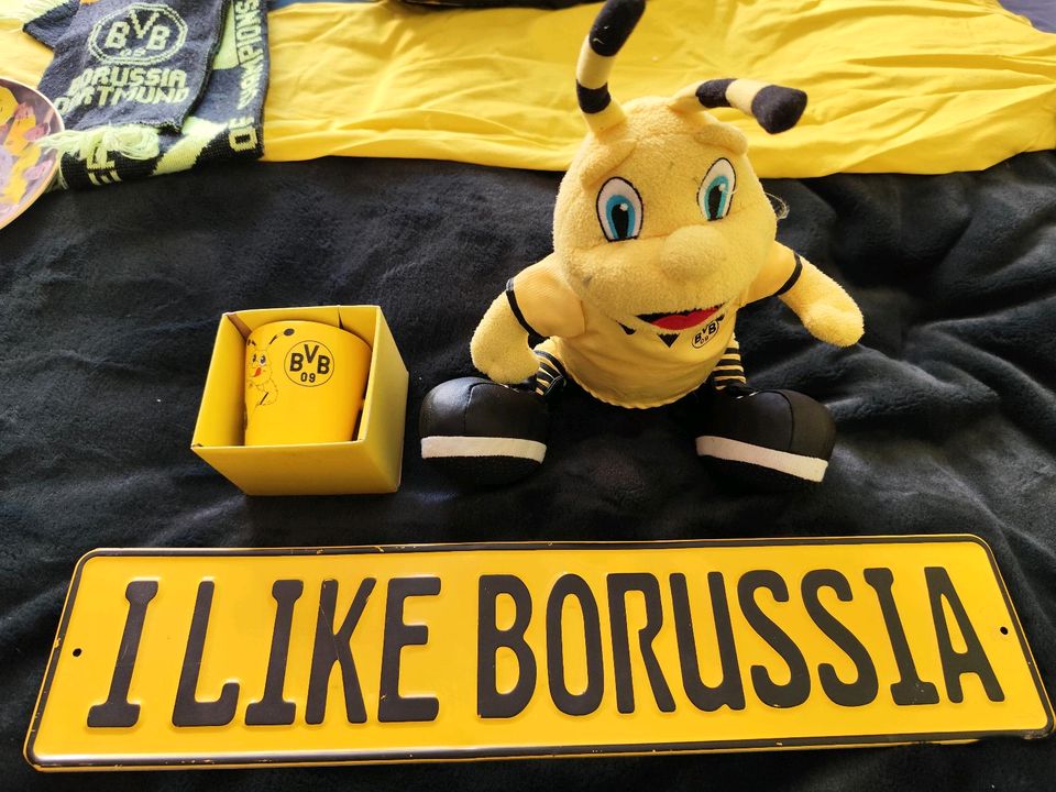 BVB, großes Fanpaket in Berlin