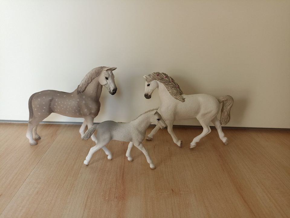 Schleich Pferd Holsteiner 13859, 13869 in Nürnberg (Mittelfr)