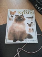 Mein grosses Katzenbuch Katzen  Katze Haustiere Haustier Tiere München - Milbertshofen - Am Hart Vorschau
