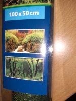 Aquarium Fotorückwand....Neu Schleswig-Holstein - Krempermoor Vorschau