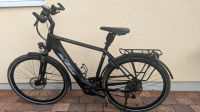 E-Bike KTM Cento 10 Plus Rheinland-Pfalz - Haßloch Vorschau