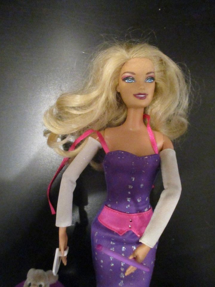 Mattel X9076 - Barbie - Ich wäre gern… Zauberin in Freiburg im Breisgau
